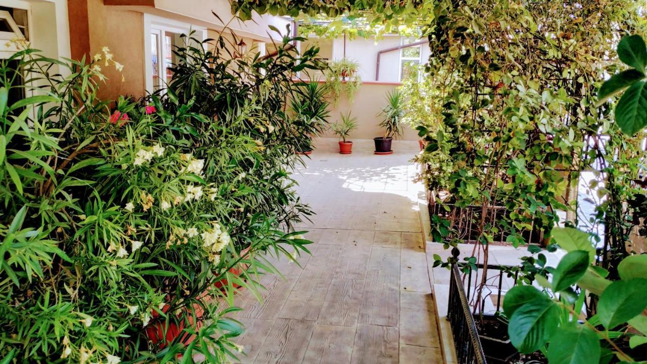 Dracena Guesthouse Ravda Eksteriør billede